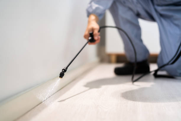 Licensed Termite Control service in Red Chute, LA - Nex Pest Control