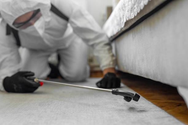 Professional Termite Control technician working in Red Chute, LA