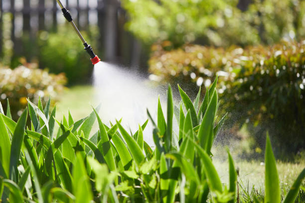 24/7 Emergency Termite Control experts in Red Chute, LA